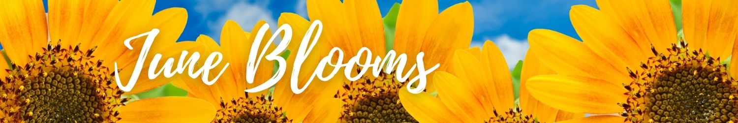June Flowers Banner